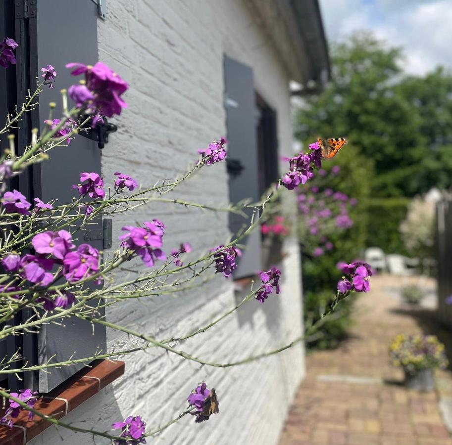 A Little Peace And Quiet Bed & Breakfast Wahlwiller Exterior photo